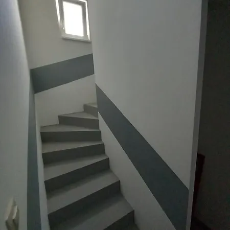 Csalogány *