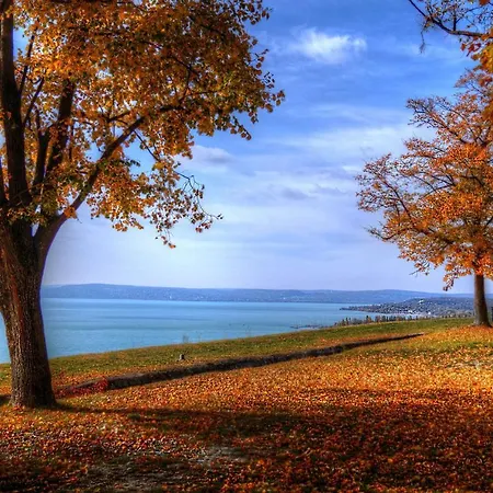 Csalogany Holiday home Balatonboglar