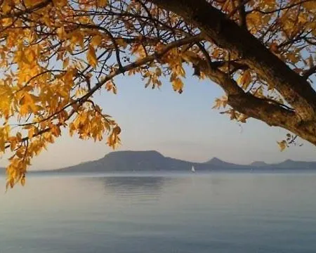 Csalogany * Balatonboglar